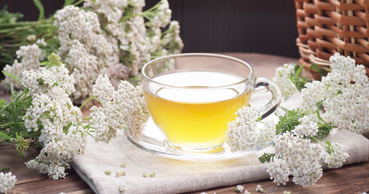 mysi chvost na otehotnenie